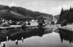 07929 Raila near Schleiz 