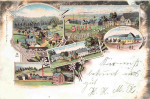 07987 Kleinreinsdorf Mohlsdorf-Teichwolframsdorf Litho o 1900