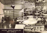 07987 Mohlsdorf-Teichwolframsdorf HOG Waldhaus * 1970