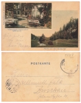 08318 Eibenstock, Bockauthal Zimmersacher o 26.6.1901