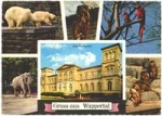 Wuppertal Zoo, around 1970