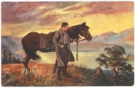 Horse artist card E. Schramm * ca. 1917