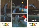 Duisburg Zoo Dolphin Show Zoo o 1.10.1973