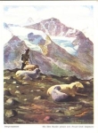 Erich Stegmann Bergeinsamkeit Shepherd with sheep artist card gebr. circa 1940