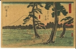 Japan Trees Artist Map of the N.Y.K. Line, * ca. 1910