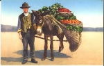 Fruit dealer with mule * approx. 1930