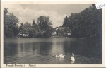 Oppach local pond with swans bred circa 1930