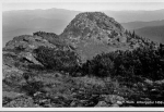94209 Arbergipfel * ca. 1930
