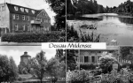 06810 Dessau Mildensee * ca. 1978