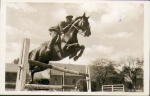 Show jumping (series of our Reichswehr 2640) o 9.6.1934