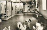 02747 Herrnhut Ethnological Museum Eskimoschau * ca. 1971