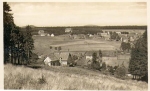 38875 Tanne gebraucht ca. 1930