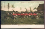 North Carolina Greetings from The Beautiful Sapphire Country *ca. 1900