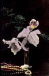 Orchids in a vase * ca. 1920