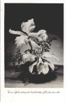Orchid Ikebana o 15.6.1957
