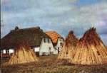 18565 Insel Hiddensee, Fischerhäuser, o ca. 1960
