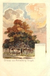 09456 Annaberg Lime tree in the cemetery artist card Hirschmann * ca.1900