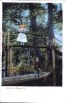 Spreewald Bank * ca. 1900