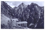 82491 Knorrhuette mit Hochwanner * ca. 1930