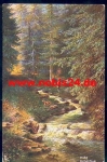 Harz Radauthal artist card Oilette o March 22, 1906