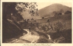Cows with a shepherd * approx. 1920