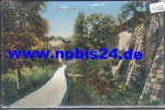 01594 Riesa Stadtpark o 24.3.1913