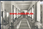 98559 Oberhof VDK-Erholungsheim Wandelgang *ca. 1965