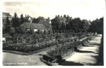 Chemnitz Rosarium o June 10, 1927