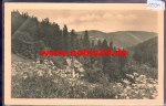 01776 Bärenfels Sommerblick in Weisseritzthal o 18.6.1954