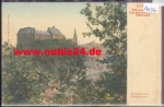04703 Leisnig vom Wapplers Berg nach Schloss Mildenstein o 26.6.1911