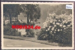 08645 Bad Elster Gondelteich o 19.7.1944