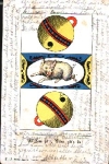 Skat, Wildschwein Spruchkarte, gebr. 3.5.1904