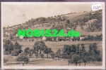 01665 Golk am Golkwald gebr. ca. 1930