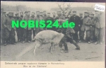 Man fights with goat, 01.15.1916 field post