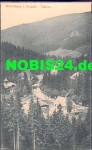 01776 Baerenburg *1916