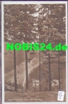 01776 Wald-Baerenburg Der Heuweg *ca. 1930