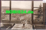 01776 Bärenfels Handwerkerheim Spitzberg-Baude Blick ins Pöbeltal *ca. 1960