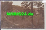01776 Wald-Bärenburg *ca. 1930