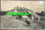 Stellingen Hamburg Hagenbecks Tierpark Felsenpartie herbivores o 5.8.1907