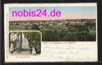 Buhlau Dresden Bismarckstein o 18.6.1903