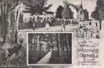 04463 Oberholz Grossposna Hotel und Waldschloss gebr. ca. 1910