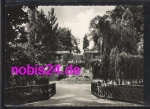 01594 Riesa Freitreppe Stadtpark o ca. 1970