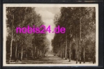 Dresdner Heide o 12.8.1930