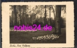 Berlin Park - Bellevue o 25.11.1931