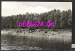 06905 Duebener Heide Bergwitzer See  *ca.1978
