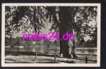 Karl-Marx-Stadt Kirche Schlossteich o 4.5.1959
