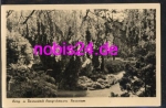 06526 Sangerhausen Rosarium  *ca.1957