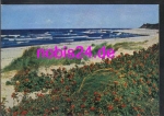 18565 Hiddensee Küste Kloster - Vitte  *ca.1976