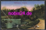 26382 Wilhelmshaven Park Party Ducks *ca.1920