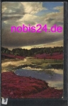 29614 Wilseder Berg Luneburger Heide *ca.1920